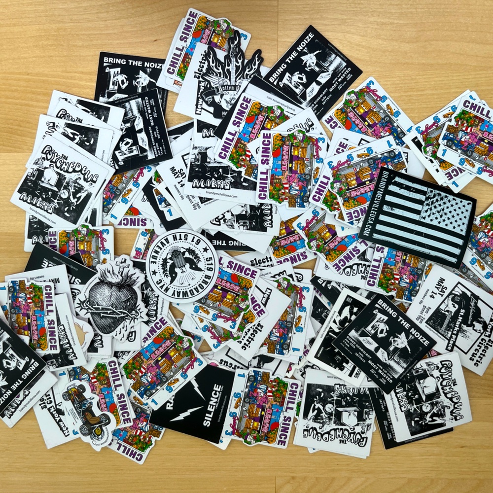 75 pack of random brandy melville stickers